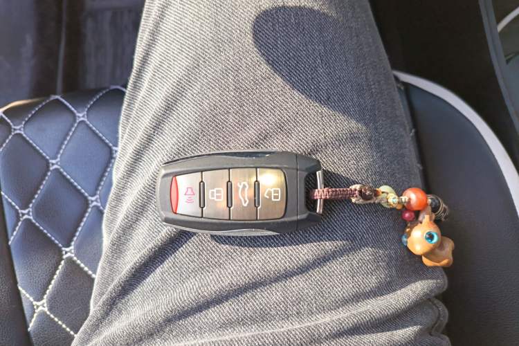 Used ORA White Cat 2020 305 km Luxury Version
