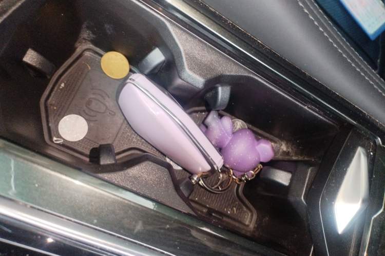 Used Geely Auto Monjaro L 2021 2.0TD DCT EVO Two-Wheel Drive Prestige Version
