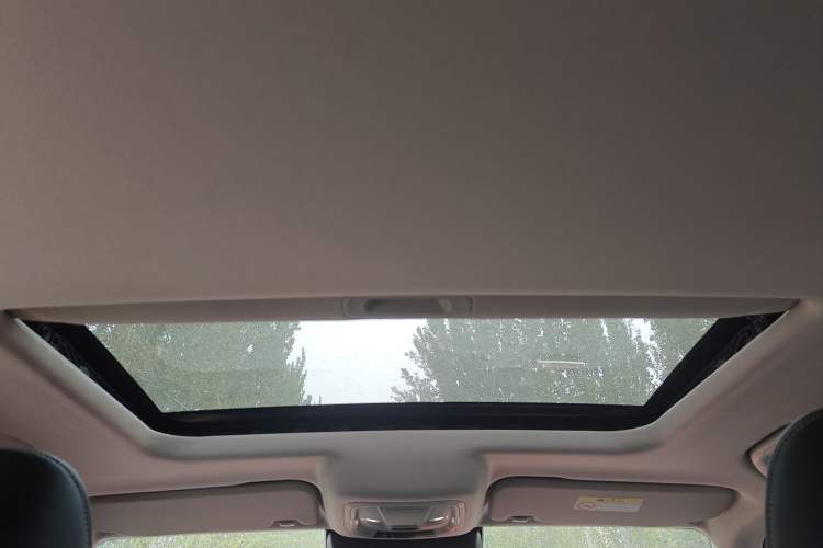 Used Tank 300 2021 Off-Road Edition 2.0T Conqueror