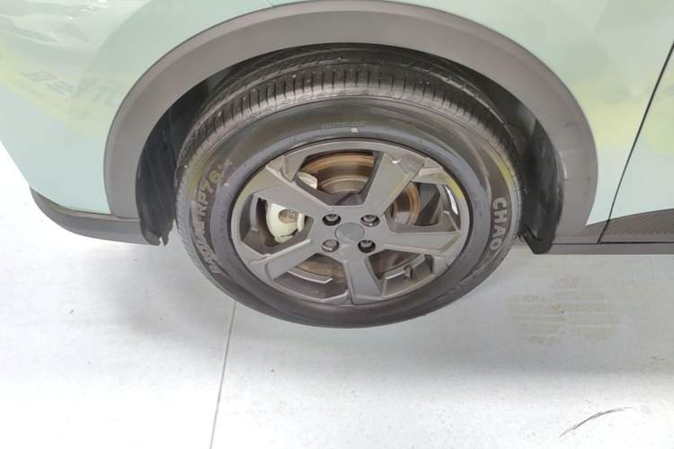 Used Geometry E Firefly 2022 401 km Linglong Tiger 4 Seats