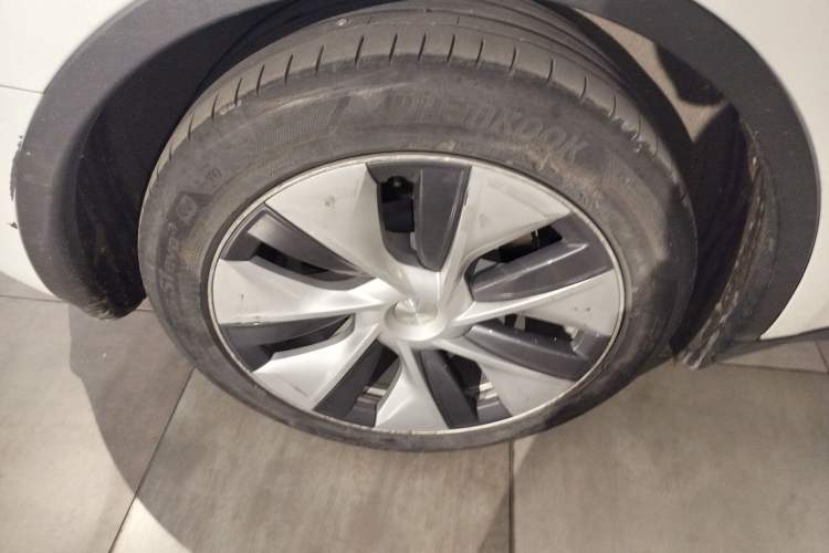 Used Tesla Model Y 2021 Standard Range Rear-Wheel Drive Version
