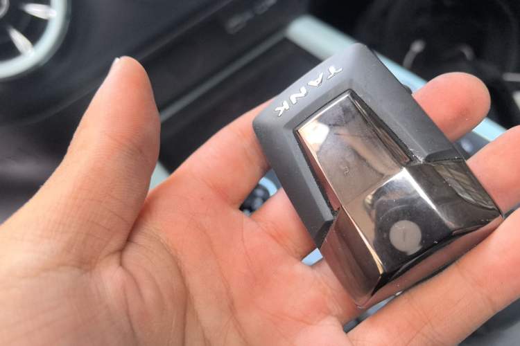 Used Tank 300 2021 City Edition 2.0T—Truly Stylish