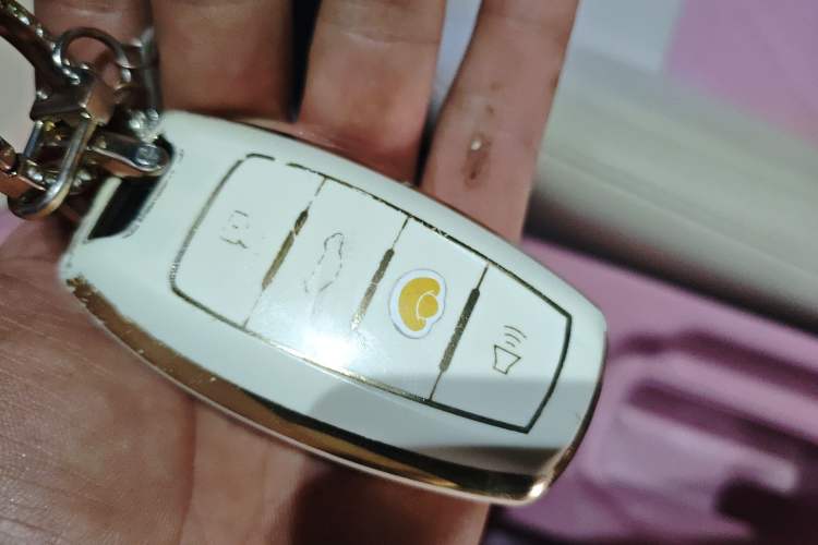 Used ORA Black Cat 2021 351 km Standard Version