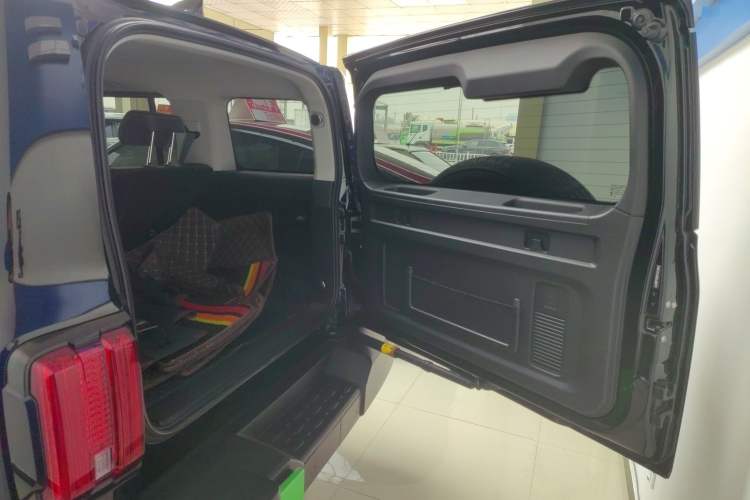 Used Tank 300 2024 2.0T Conqueror