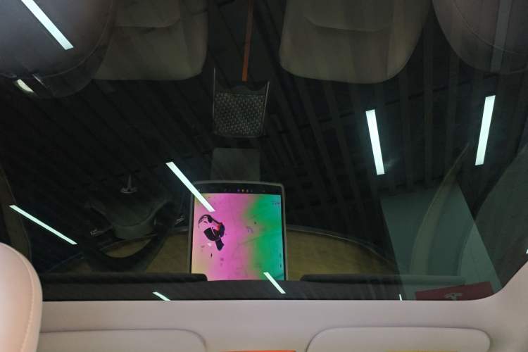 Used Tesla Model Y 2021 Standard Range Rear-Wheel Drive Version Headliner