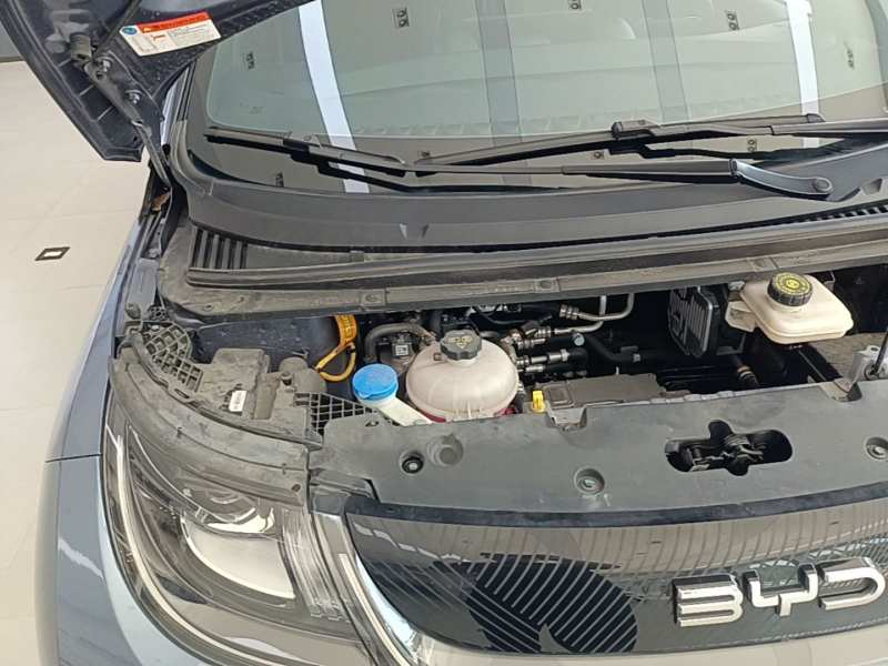 Used BYD Dolphin 2024 Honor Edition 420km Fashion Version — 22