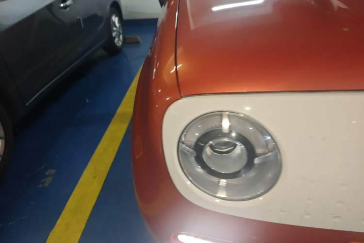 Used ORA Black Cat 2021 351 km Luxury Version
