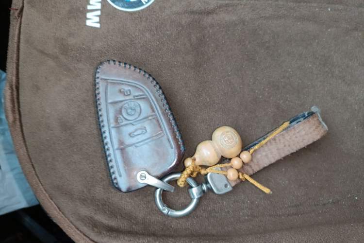 Used BMW X1 2021 xDrive25Li Luxury Model
