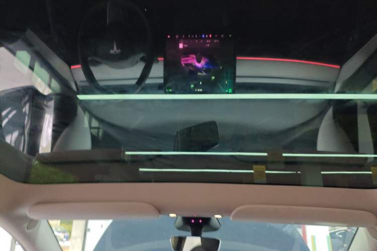 Used Tesla Model Y 2024 Rear-Wheel-Drive Version Headliner