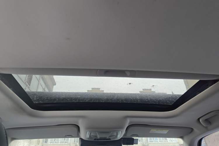 Used Tank 300 2021 Off-Road Edition 2.0T Conqueror