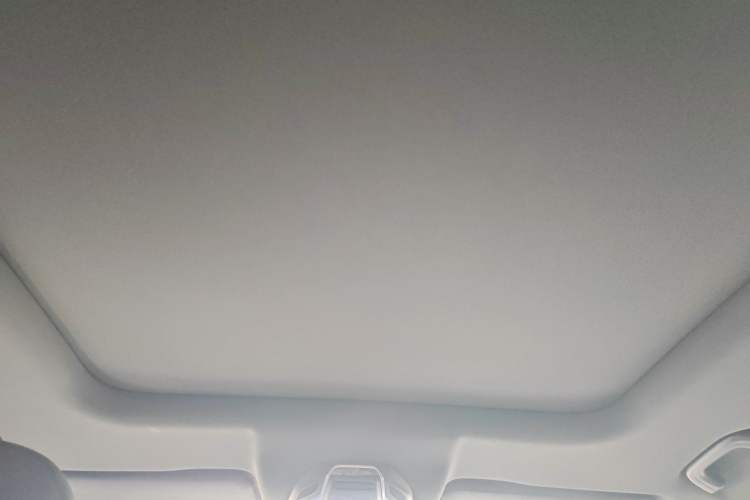 Used Geely Auto Haoyue L 2024 2.0T DCT Prestige Version Headliner