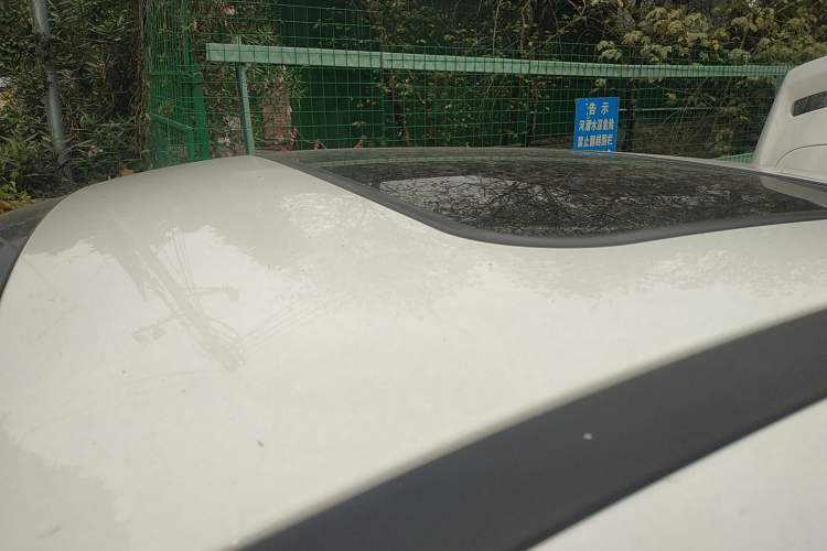 Used Ford Focus 2018 Hatchback Classic EcoBoost 180 Automatic Elite Model
