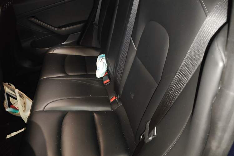 Used Tesla Model 3 2020 Standard Range Rear-Wheel Drive Upgraded Version
