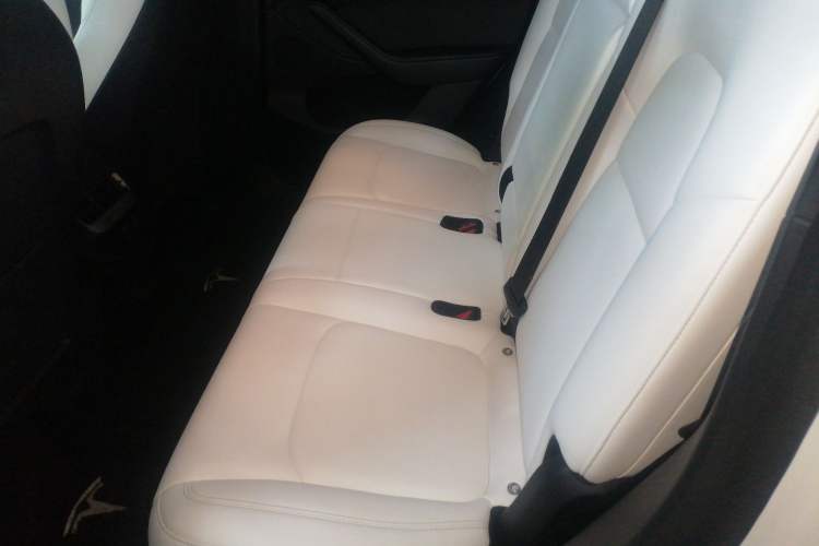 Used Tesla Model Y 2021 Revised Version 2 Long-Range All-Wheel-Drive Edition
