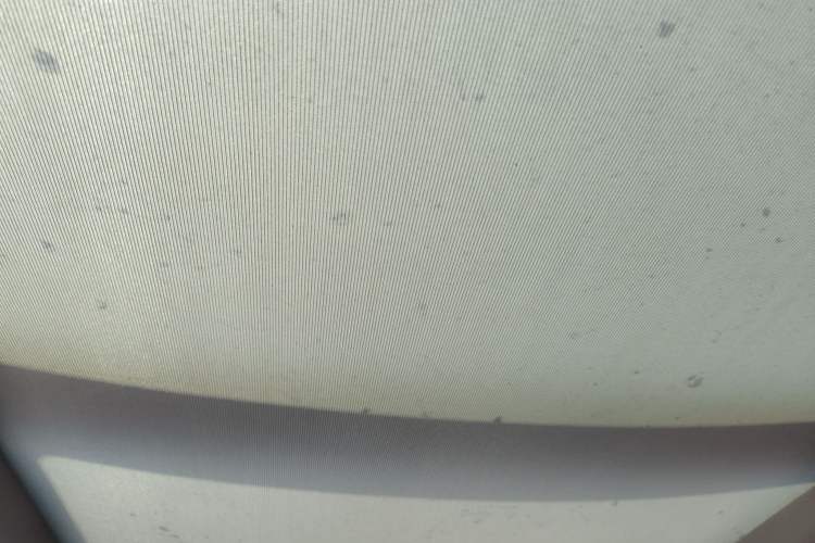 Used BMW X1 2019 sDrive18Li Premium Edition Headliner