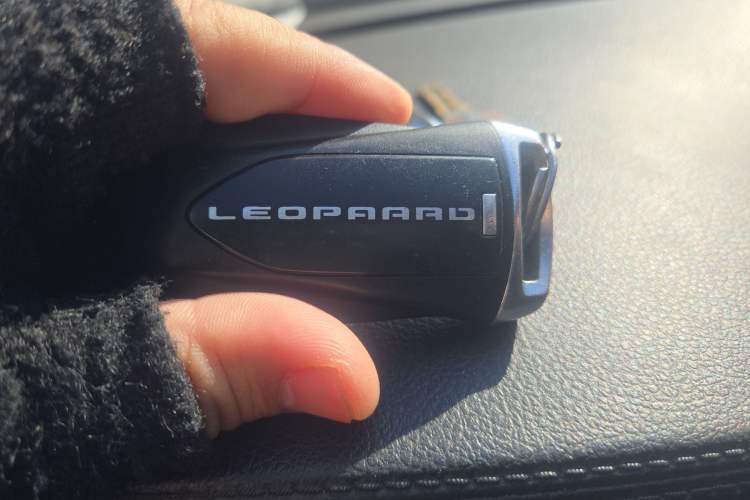 Used Leopaard CS9 2017 1.5L Manual Fashion Model