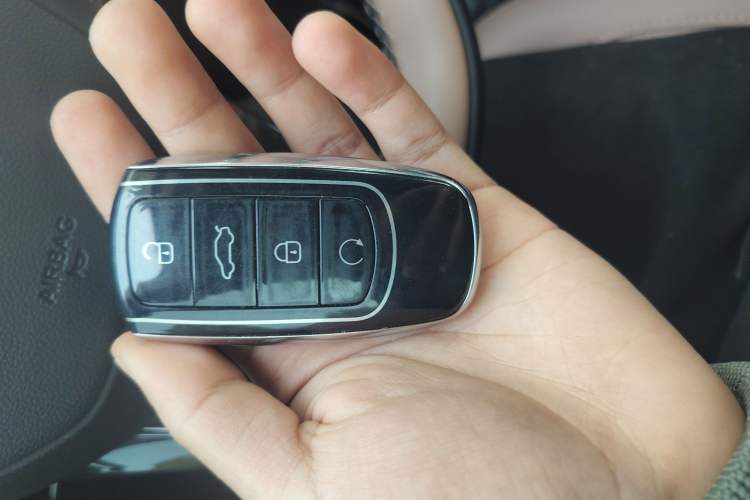 Used Chery Tiggo 8 L 2024 2.0T Two-Wheel Drive Luxury Edition 5 Seats
