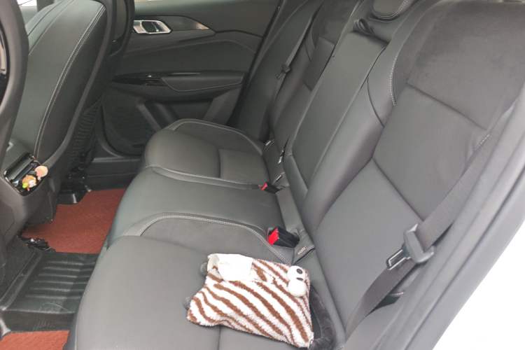 Used Lynk & Co 03 2021 1.5TD DCT Jing Champion Edition Left Rear Seat