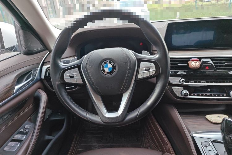 Used BMW 5 Series 2020 530Li Luxury Edition Premium Package
