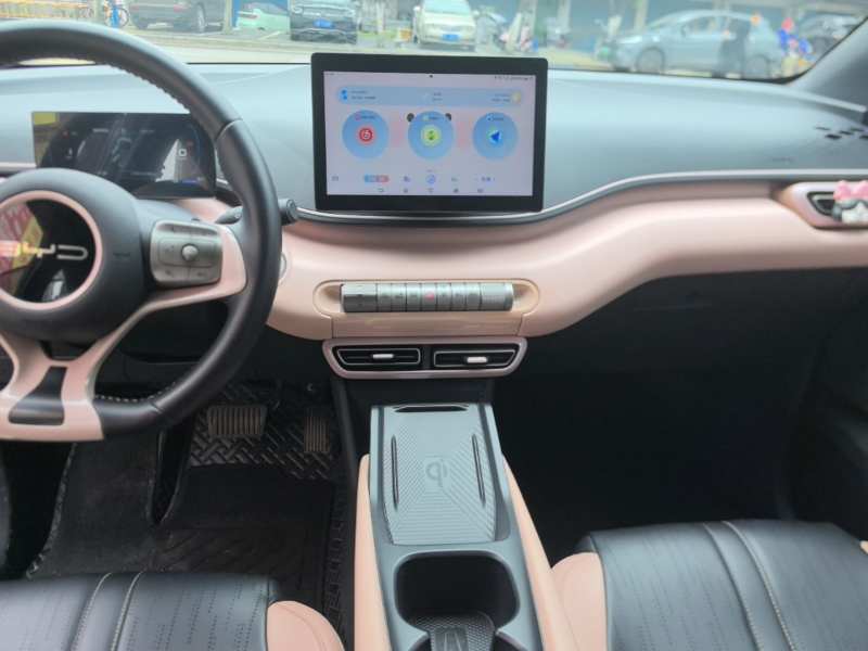Used BYD Seagull 2023 Free Edition — 12