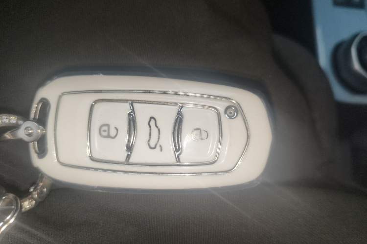 Used Geely Galaxy Panda 2024 Panda Mini 200km Endurance Bear Vehicle Key