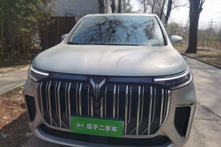 Used VOYAH Dream 2022 Low-Carbon Edition Home