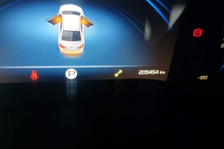 Used Geely Auto Emgrand New Energy 2019 EV500 Ambition Standard Range Edition Odometer Close Up