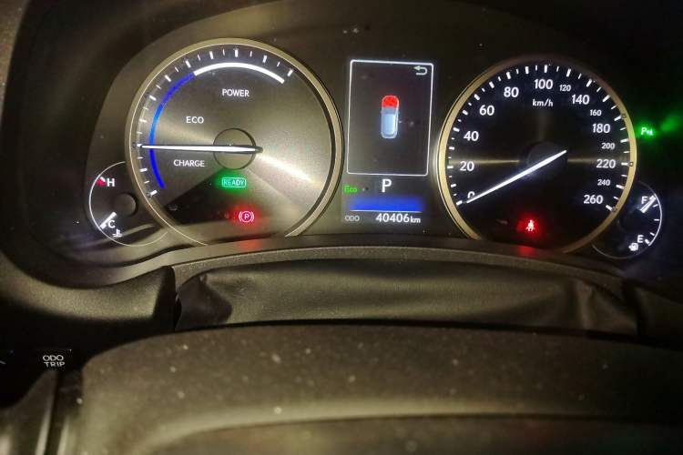 Used Lexus NX 2020 300h Front-Drive FENGSHANG Version China VI Standard Odometer Close Up