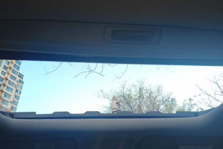 Used Honda Crosstour 2012 2.4L Luxury Edition Headliner