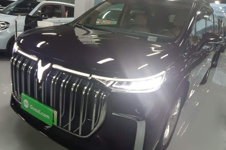 Used VOYAH Dream 2022 Low-Carbon Edition Home