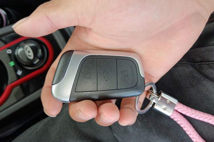 Used Chery New Energy Little Ant 2022 Revised Version Sweet Pink Edition Half-Sugar Version Lithium Iron Phosphate 30.7 kWh 30 kW 301 km