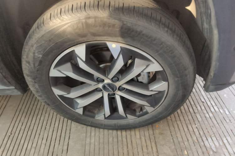 Used Haval H Dog 2023 2.0T Two-Wheel Drive Chaoye Version Plus
