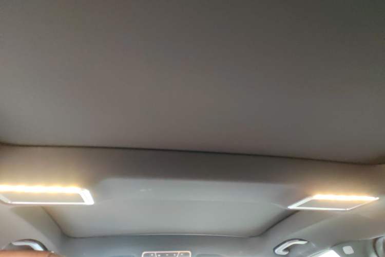 Used Mercedes-Benz Maybach S-Class 2020 S 450 4MATIC Collector's Edition Headliner