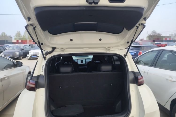 Used BYD Seagull 2025 305 km Free Version
