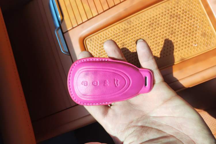 Used Wey Lanshan 2023 Four-Wheel Drive Ultra-Long Range Version
