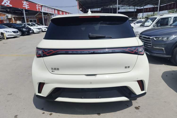 Used BYD Dolphin 2024 Honor Edition 420km Fashion Version Rear