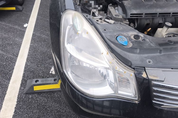 Used Nissan Sylphy 2007 1.6 XE Comfort Edition Right Front Headlight