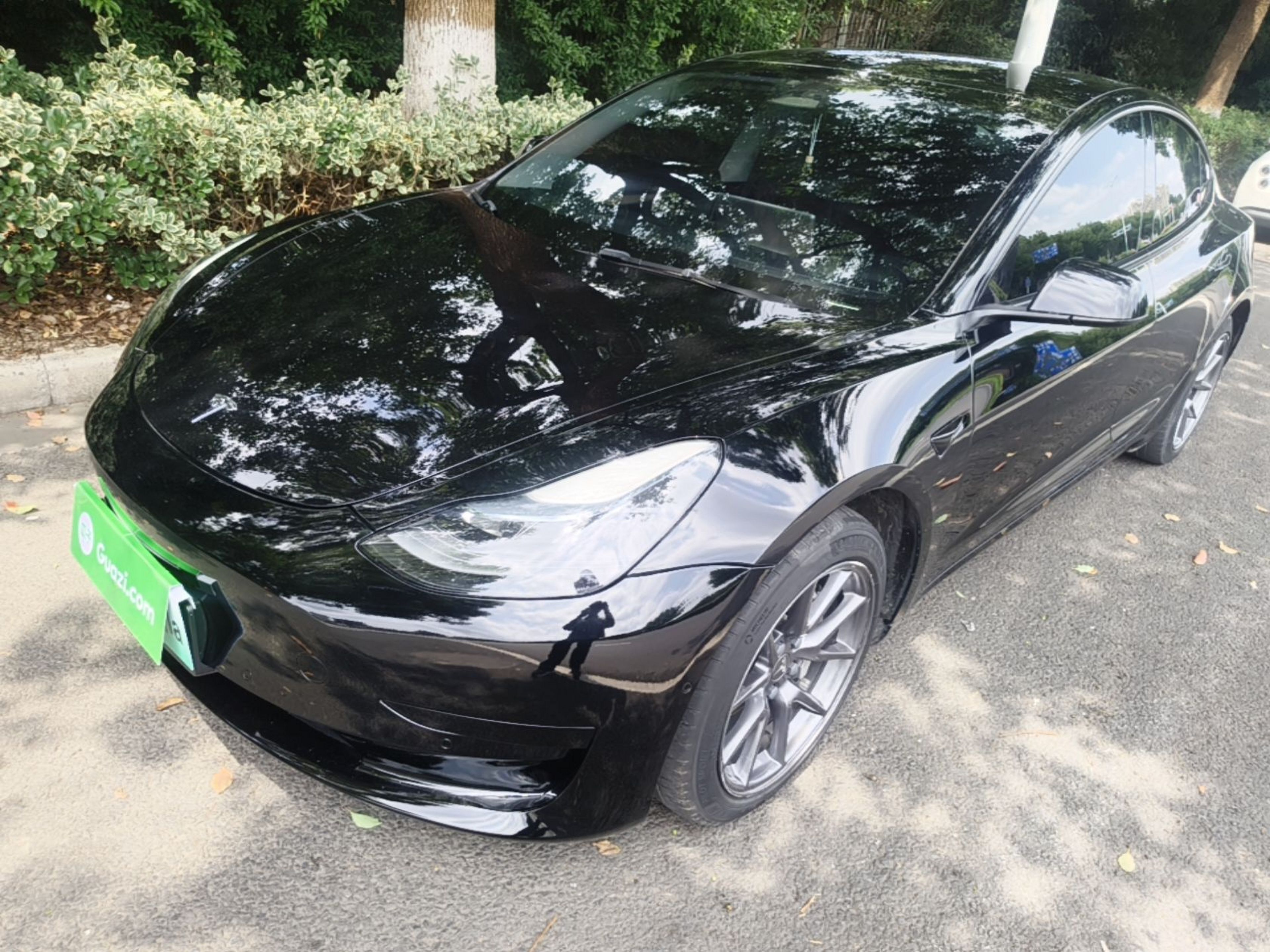 Under Front Bumper