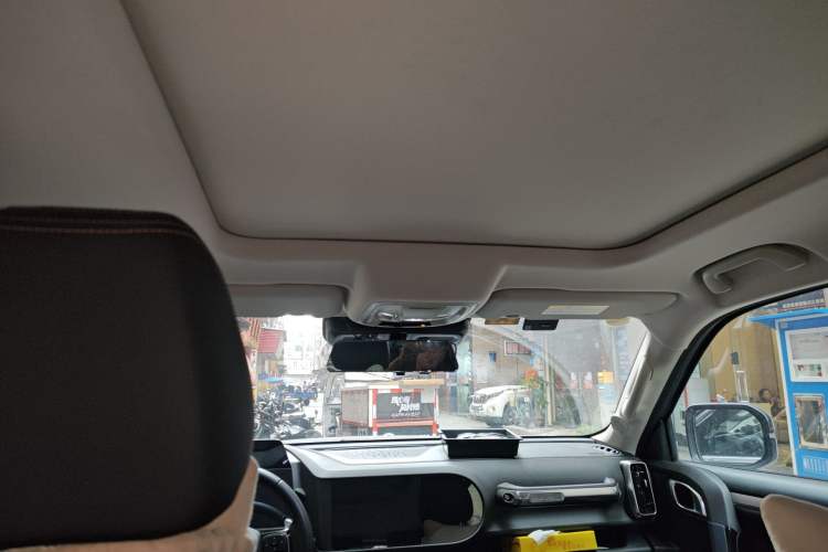 Used Haval DARGO 2021 2.0T DCT Two-Wheel Drive Chinese Mastiff Edition Headliner