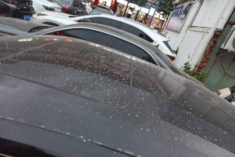 Used CHANGAN Eado 2025 Blue Whale 1.5T 500Bar Prestige Model
