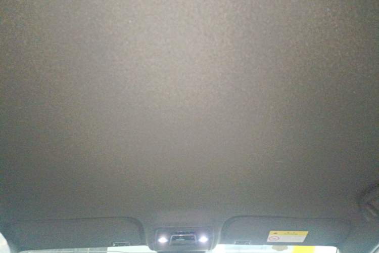 Used BYD Seagull 2025 Intelligent Driving Version 305 km Dynamic Edition Headliner