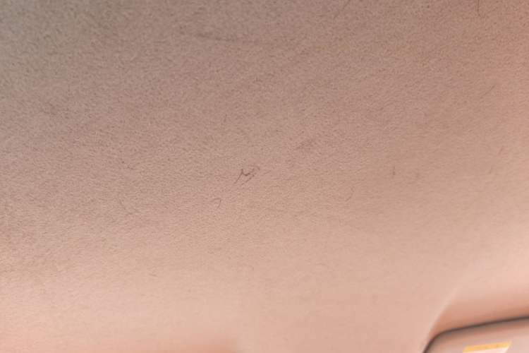 Used Ford Focus 2013 Hatchback Classic 1.8L Automatic Base Model Headliner