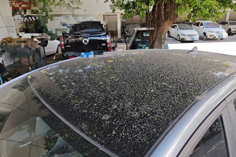 Used BYD Dolphin 2021 405 km Fashion Edition
