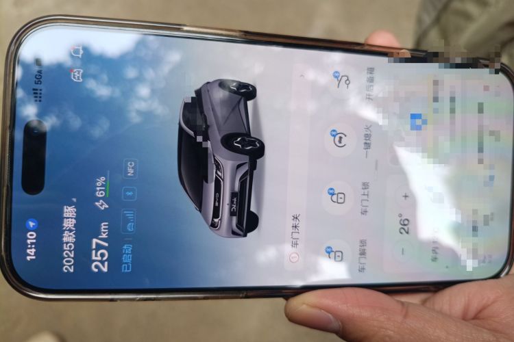 Used BYD Dolphin 2024 Honor Edition 420km Fashion Version