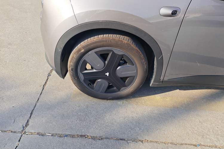 Used firefly firefly 2025 Illuminated Edition