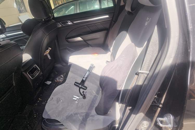 Used GAC Trumpchi GS8 2020 390T Two-Wheel Drive Luxury Smart Connectivity Version (7 Seats) Left Rear Seat