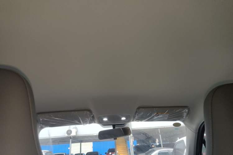 Used Leapmotor T03 2025 310 Comfort Edition Headliner