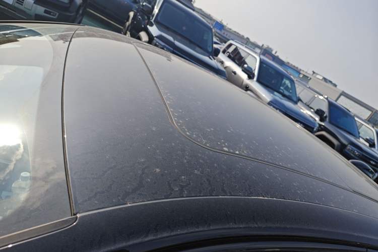 Used Hongqi H9 2025 2.0T Two-Wheel-Drive Flagship Private Enjoyment Style 5 Seats
