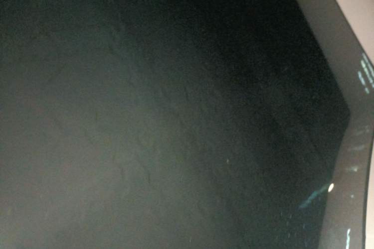 Used Tesla Model Y 2022 Revised Version Long-Range All-Wheel Drive Headliner