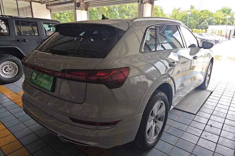 Used Audi e-tron 2021 50 quattro Luxury Edition Rear Right 45 Deg